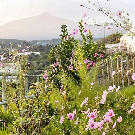 Ferienhaus Espacio Antares
