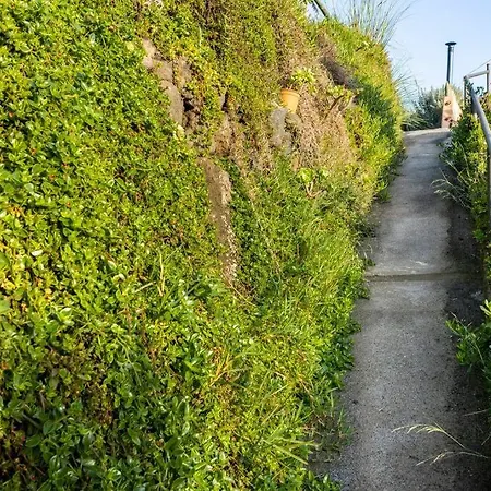 Ferienhaus Espacio Antares Icod De Los Vinos