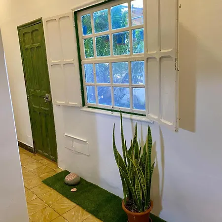 Espacio Antares Ferienhaus Icod De Los Vinos