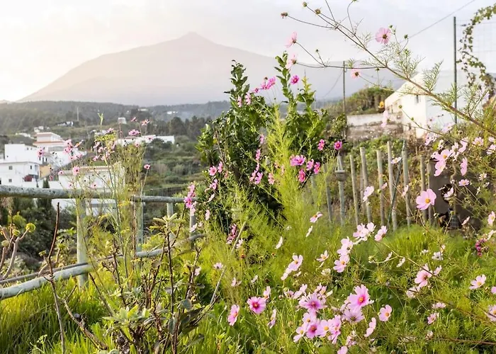 Hébergement de vacances Espacio Antares